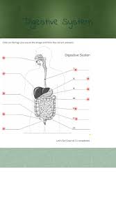 Wizer Me Digestive System Worksheet Digestive System Diagram Digestive System For Kids