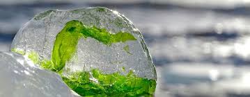 Wenn jemand ohne nähere angaben vom „gefrierpunkt spricht, meint er in der regel den von reinstem wasser, also 0 °c. Mit Diesem Clou Gefriert Wasser Nie Zu Eis