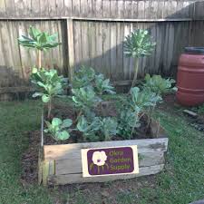 $4.29 for 1 plant in a 3 1/2 pot. Collard Greens Okra Garden Supply Blog