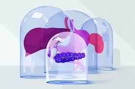Nausea and vomiting caused by cancer treatments or a tumor pressing on your stomach may make it difficult to eat. Why Can T We Stop Pancreatic Cancer The New York Times