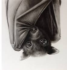Super Cute Bat Fledermaus Tattoo Fledermaus Tattoos Zeichnungen Tiere