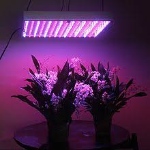 Grow Light Wikipedia