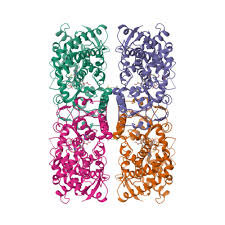 Image result for Mibefradil