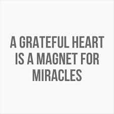 Image result for quotes on being grateful