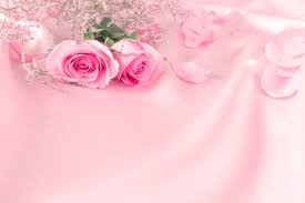 rose with sweet love background love is sweet love backgrounds wedding album design