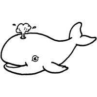 The pages can also be stapled together to make an activity book. Baby Beluga Coloring Pages Surfnetkids