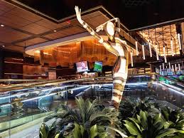 Marc Meltz (@meltzvegas) • Instagram photos and videos