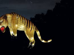 Du 16 novembre 2018 au 15 janvier 2019, le jardin des plantes à paris, associé au muséum d'histoire naturelle, propose son premier festival des lumières « espèces en voie d'illumination ». Especes En Voie D Illumination Galeries Jardins Zoo Jardin Des Plantes
