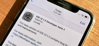 Apple S Ios 12 1 3 Developer Beta 4 Available For Iphones Ios Iphone Gadget Hacks