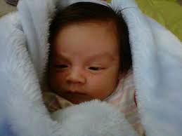 david camilo toro molano