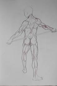 Learning The Muscles For Figure Drawing | Love Life Drawing