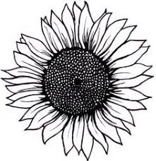 Basic Black And White Flower Outline Sunflower Outline Google Search Sunflower Drawing Sunflower Tattoo Simple Sunflower Tattoo Small