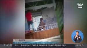 발로 차고 인대 끊고... 잔혹한 사육사의 동물 학대 영상 | ZUM TV