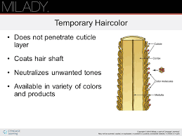 Milady chapter 21 haircoloring understanding the natural hair level. Chapter 21 Haircoloring Ppt Download