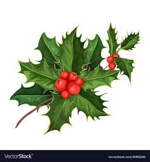 Vector Realistic Hand Drawn Holly Ilex With Berry And Leaves Mistletoe Branch Twig Christmas New Year Holiday Celebrat Christmas Holly Christmas Mistletoe