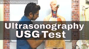 Ultrasonography Usg Test In Hindi Youtube