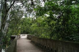 images?q=tbn:ANd9GcSOj85Y03z47tjyckr9mSm