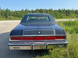 Image result for Nightwatch Blue 1980 Chrysler