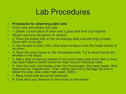 This means that divided further, its components (electrons, protons, and neutrons) do not retain the properties of the element. Ppt Comparing Animal And Plant Cell Microscope Lab Powerpoint Presentation Id 842712