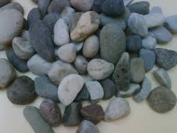 To identify gold inside of a piece of quartz, hold a magnet against the rock. Day 22 Igneous Rocks Associated With Gold And Metamorphic Rocks Rio Suerte