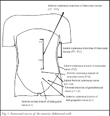 The division into four quadrants allows the localisation of pain and tenderness, scars, lumps, and other items of interest, narrowing in on which organs and tissues may be involved. Gender Female Female Male Persisting Complaint Right Upper Quadrant Abdominal Pain Right Upper Quadrant Abdominal Pain Left Upper Quadrant Abdominal Pain Semantic Scholar