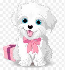 Maybe you would like to learn more about one of these? Havanese Dog Maltese Dog Puppy Bichon Frise Puppy White Mammal Png Pngegg