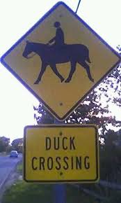 Duck Crossing If It Looks Like A Duck And Quacks Like Hey That S Not A Duck Funny Road Signs Funny Street Signs Fun Signs