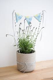 Geldgeschenke für das brautpaar im briefumschlag übergeben? Geldgeschenke Zur Hochzeit 3 Schone Deko Ideen Mit Blumen Blog Dreieckchen