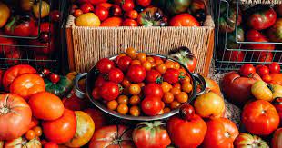 Libro de atlas de 6 grado : Indulge The Tomato Time Bounty