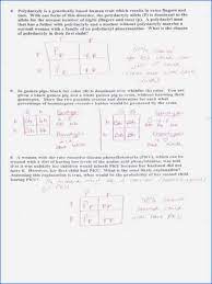 Digestion worksheet answer key,discovering geometry. Chapter 10 Dihybrid Cross Worksheet Dihybrid Practice Problems Bestseller Chapter 10 Dihybrid Cross Worksheet Quizlet Worksheets Are Chapter 10 Dihybrid Cross Work Some Of The Worksheets Displayed Are Chapter 10