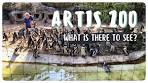 Natura Artis Magistra | Amsterdam Zoo Vlog - YouTube