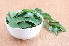 We did not find results for: 5 Manfaat Daun Kari Yang Penting Untuk Tubuh Hello Sehat