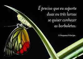 10 Frases Do Pequeno Principe Que Sao Lindas Licoes De Vida Pensador
