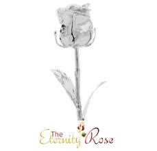 Find wedding 25th wedding anniversary gift ideas like necklaces, artwork and more. Silver Wedding Anniversary Gift Ideas For Friends Our Top List