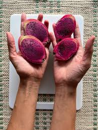 Image result for Pycreus aethiops