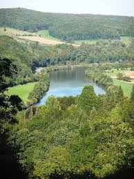 Challenge accepted!<br>discover stuttgart during a short but sweet excursion during which you will learn the most intriguing facts about the history, the local lifestyle, and the contemporary transformation of the city. Neckar Rhein Neckar Wiki