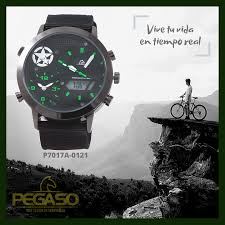 Pin En Relojes Pegaso Vive Tu Vida En Tiempo Real