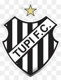 Jump to navigation jump to search. Figueirense Descarga Gratuita De Png Tupi Football Club Juiz De Fora Figueirense Liga De Campeones De La Union Recreativa De Los Trabajadores Futbol Imagen Png Imagen Transparente Descarga Gratuita
