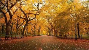 We did not find results for: Hd Wallpapers 1080p Widescreen Nature Free Download For Desktop Desktop Background