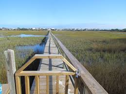 trip to pawleys island review of hardwood haven creek