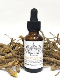 Image result for Cryptolepis