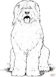 All coloring pages » cartoon » the secret life of pets » tiny the cute basset hound. Old English Sheepdog Coloring Page Supercoloring Com Dog Coloring Page Hairy Dog Old English Sheepdog