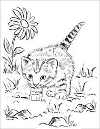 Coloring page kitten 28 images kitten coloring page bell free. Pin On Coloring Pages