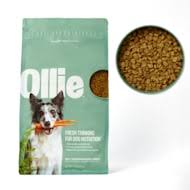 Ollie Fresh Recipe Dog Food Discovery Pack, 1 lb., Count of 5