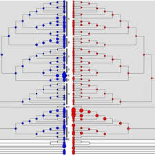 Image result for Monanthotaxis ferruginea