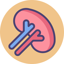 164 gefundene synonyme in 13 gruppen. Spleen Free Healthcare And Medical Icons