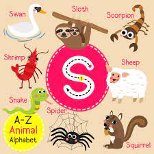 The names of some domestic animals are horses, pigs, chickens, ducks, geese, pigeons, cattle, sheep, goats, dogs, cats, camels, llamas, reindeer, yaks and the names of some domestic animals are horses, pigs, chickens, ducks, geese, pigeons,. Buy 5 Ace Animal Name Start With S Wall Sticker Poster Alphbets Chart Number Chart Animals Size 12x18 Inch Multicolor Online At Low Prices In India Amazon In