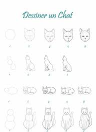 Coloriage chat gratuit à imprimer. 29 Tutos Dessins Chat Pour Savoir Comment Dessiner Un Chat Facilement