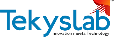Tekyslab Provide End To End Services For Building Innovative Products And Solutions For Multiple Industry Ve Thought Process Customer Experience Cloud Services