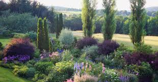 Designing A Garden You Ll Need A Plan In 2020 Conifers Garden Plants Rock Garden Plants